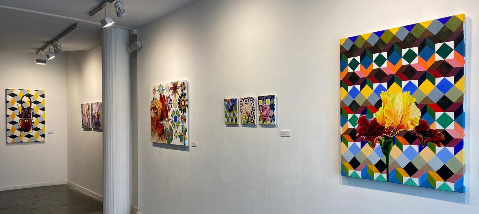 Imagen de la exposición