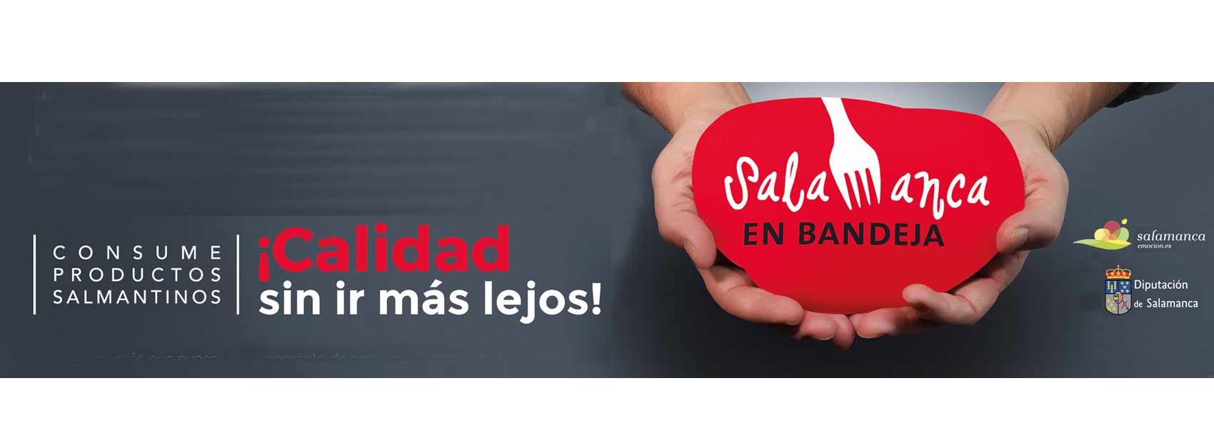 Imagen de la Campaña