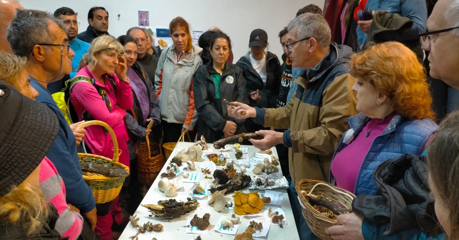 La campaña micológica 2025 de la Diputación refuerza la regulación y consolida el micoturismo