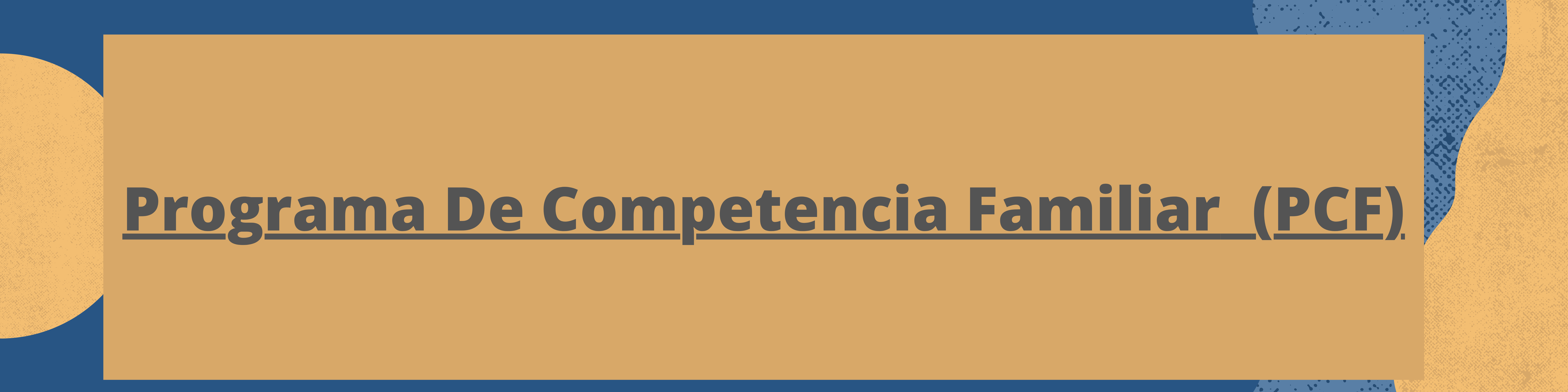 Programa de competencia familiar. 