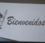 P1020582Bis
