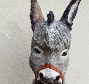 IMAGEN BURRO S