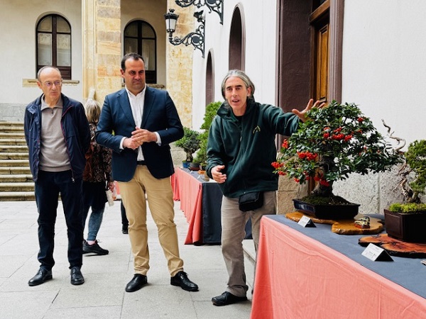 Exposición de Bonsáis en el Patio de la Salina
