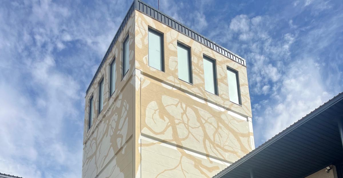 Avanza el mural 