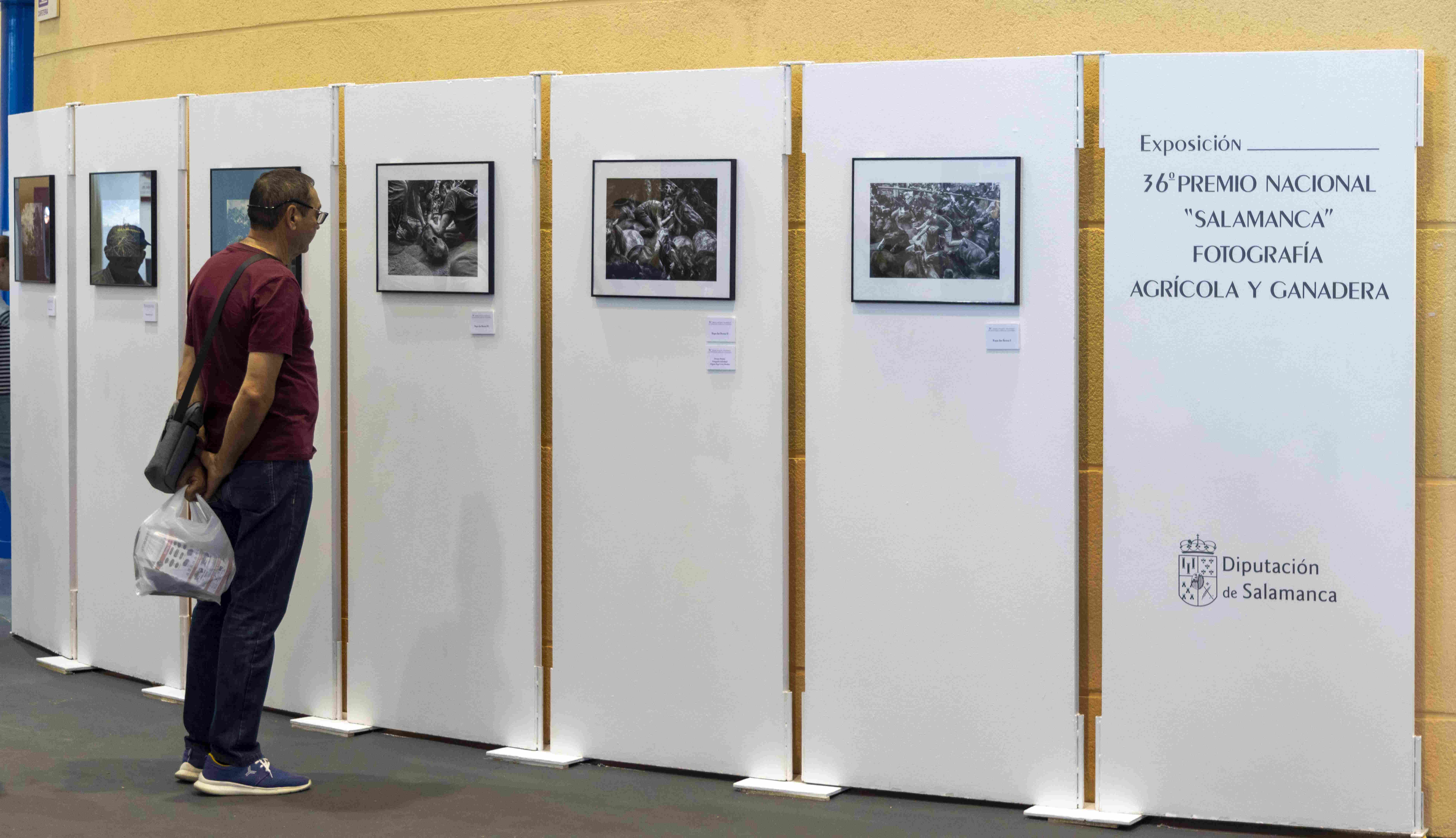 36 Edición del Premio Nacional 